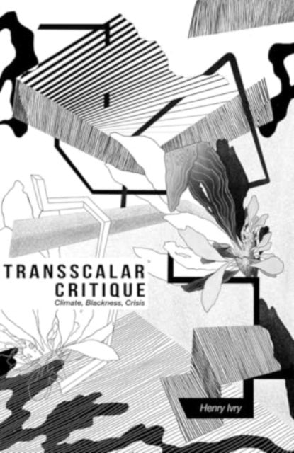 Transscalar Critique: Climate, Blackness, Crisis