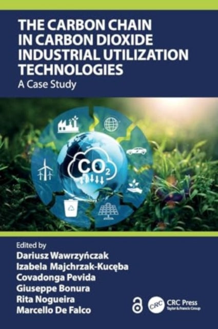 The Carbon Chain in Carbon Dioxide Industrial Utilization Technologies: A Case Study