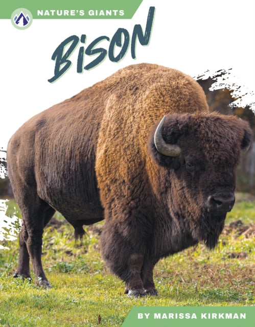 Bison