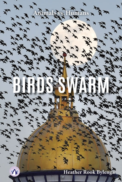 Birds Swarm