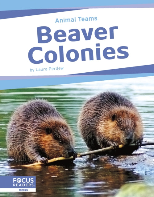 Beaver Colonies