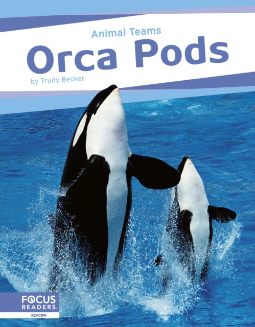 Orca Pods