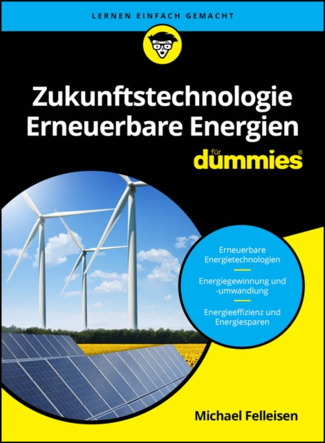 Zukunftstechnologie Erneuerbare Energien fur Dummies