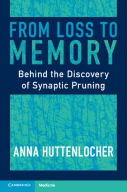 From Loss to Memory: Behind the Discovery of Synaptic Pruning