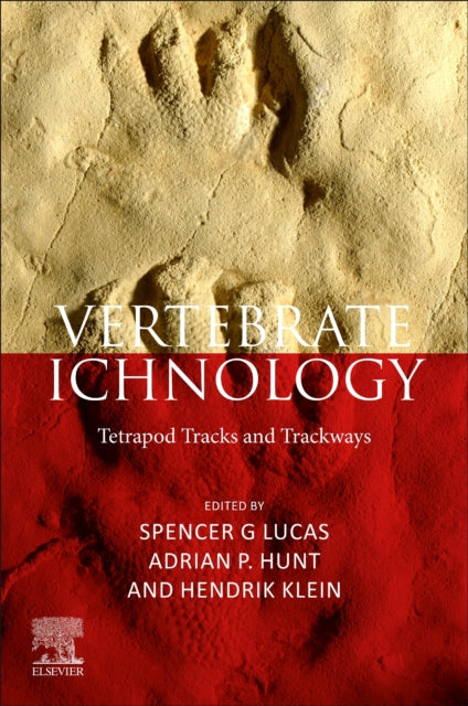 Vertebrate Ichnology: Tetrapod Tracks and Trackways