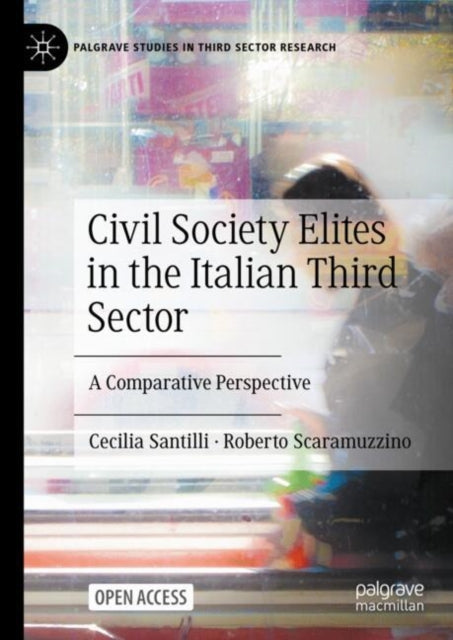 Civil Society Elites in the Italian Third Sector: A Comparative Perspective