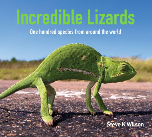 Incredible Lizards: One hundred species from around the world