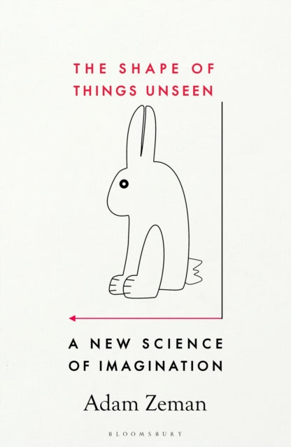 The Shape of Things Unseen: A New Science of Imagination