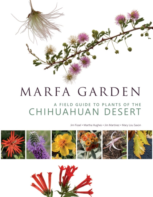 Marfa Garden: A Field Guide to Plants of the Chihuahuan Desert