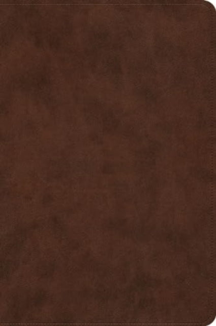 ESV Holy Bible: Dyslexia-Friendly Edition (TruTone, Brown)