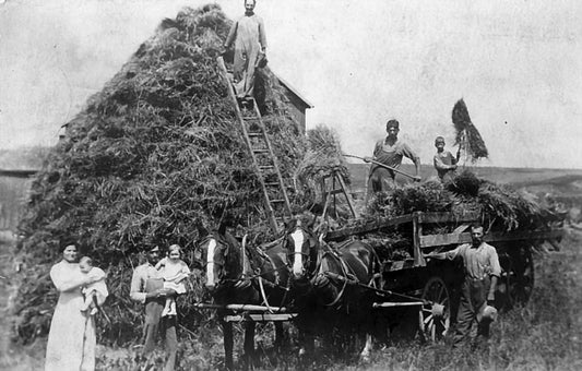 Mrs. Cook and the Klan: Booze, Bloodshed, and Bigotry in America’s Heartland