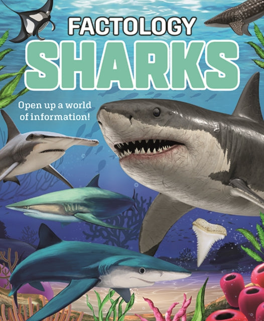Factology: Sharks: Open Up a World of Information!