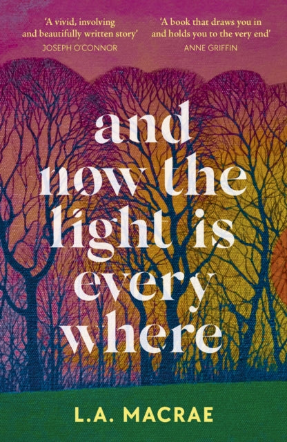 And Now the Light is Everywhere: A stunning debut novel of family secrets and redemption