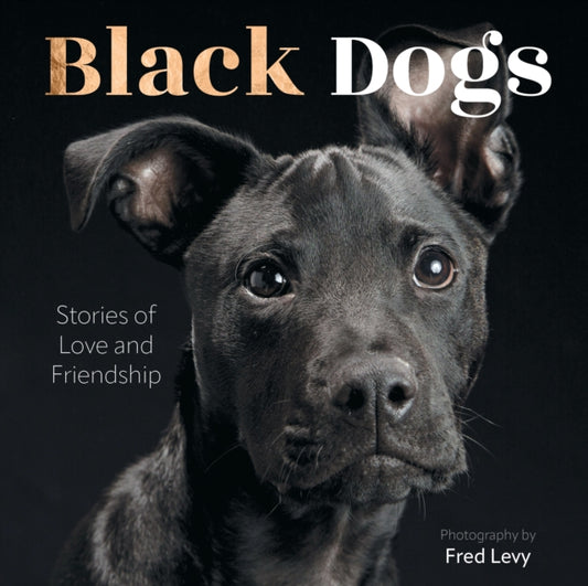 Black Dogs: Stories of Love and Friendship