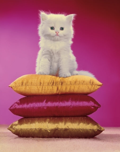 Chromotherapia: Feel-Good Color Photography