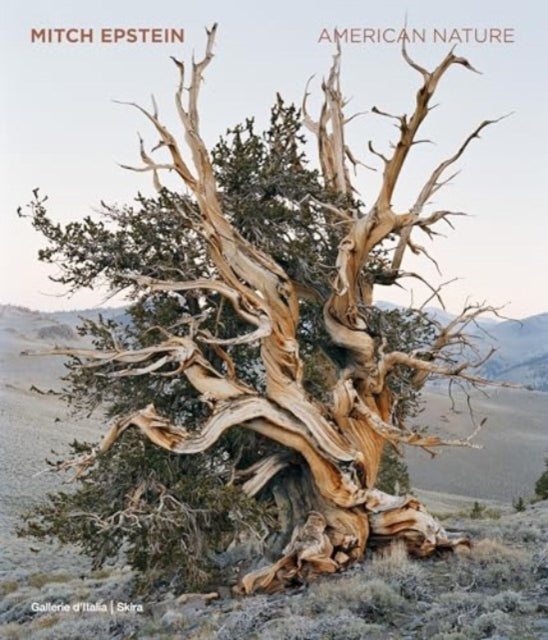 Mitch Epstein: American Nature