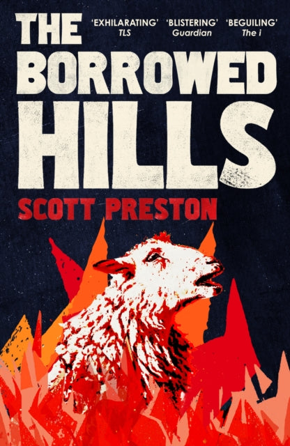 The Borrowed Hills: 'A sucker-punch of a novel' Guardian