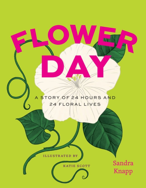 Flower Day: A Story of 24 Hours and 24 Floral Lives