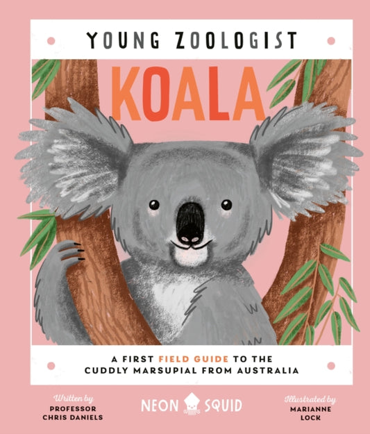 Koala: A First Field Guide to the Cuddly Marsupial from Australia