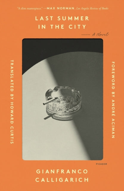 Last Summer in the City: A Novel