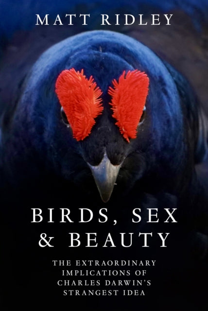 Birds, Sex and Beauty: The extraordinary implications of Charles Darwin's strangest idea