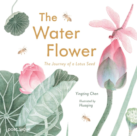 The Water Flower: The Journey of a Lotus Seed