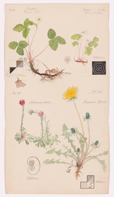 Hilma af Klint: What Stands Behind the Flowers