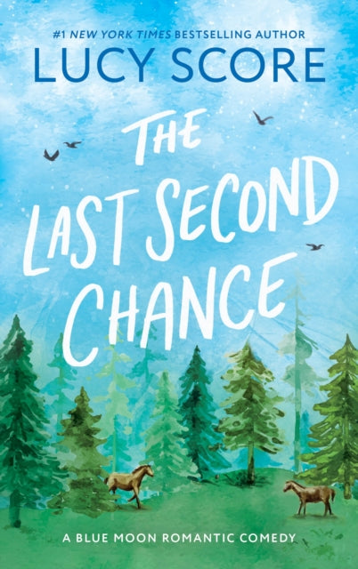 The Last Second Chance: A Small Town Enemies to Lovers Romcom