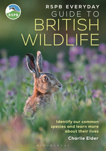 RSPB Everyday Guide to British Wildlife: Identify our common species and learn more about their lives
