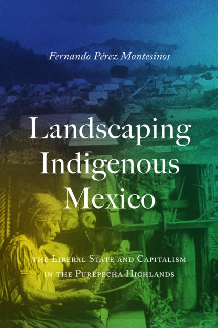 Landscaping Indigenous Mexico: The Liberal State and Capitalism in the Purepecha Highlands