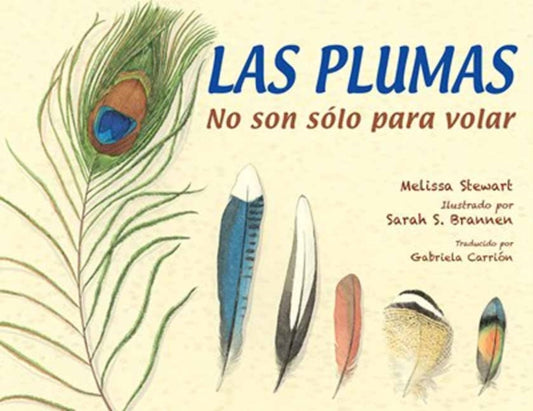 Las plumas: No son solo para volar