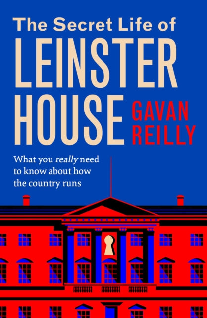 The Secret Life of Leinster House: What you really need to know about how the country is run