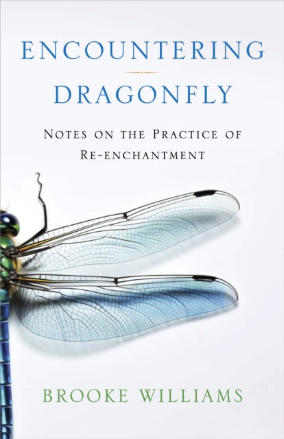 Encountering Dragonfly: Notes on the Re-enchantment of the World