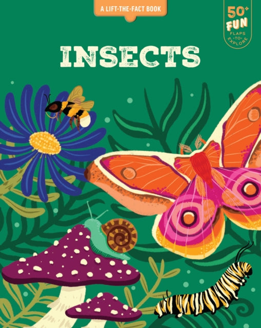Insects: A Lift the Fact Book