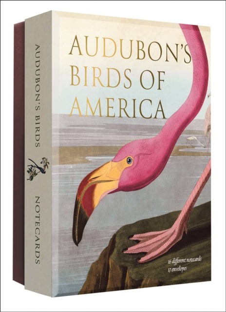 Audubon's Birds of America: An Abbeville Notecard Set