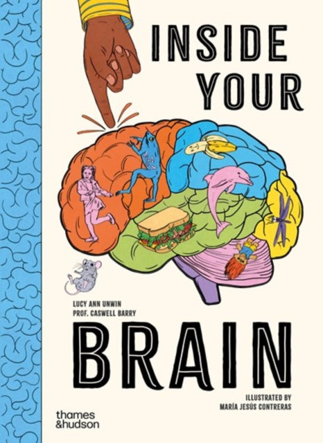 Inside Your Brain: 10 discoveries that reveal how the brain works