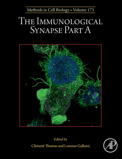 The Immunological Synapse Part A