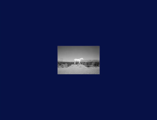 Prophetic Kingdom: Autopsis