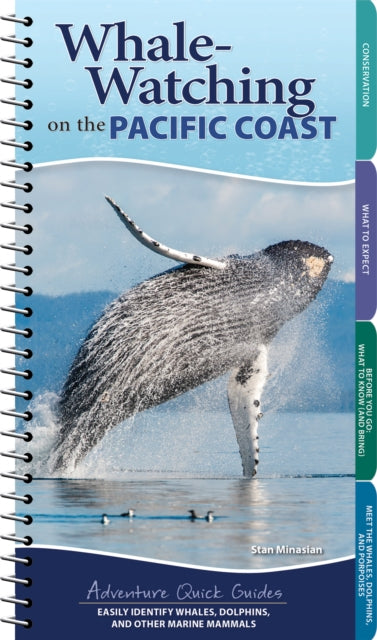 Whale Watching on the Pacific Coast: Easily Identify Whales, Dolphins, and Other Marine Mammals
