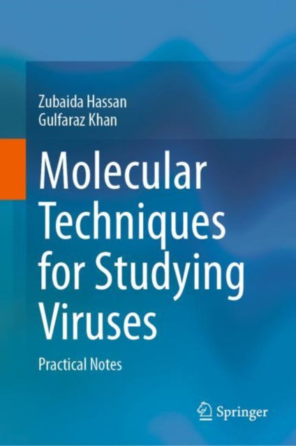 Molecular Techniques for Studying Viruses: Practical Notes