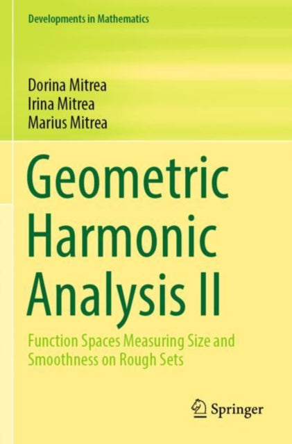 Geometric Harmonic Analysis II: Function Spaces Measuring Size and Smoothness on Rough Sets
