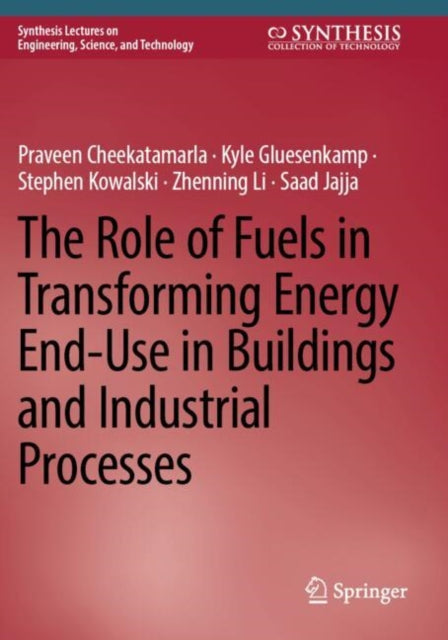 The Role of Fuels in Transforming Energy End-Use in Buildings and Industrial Processes