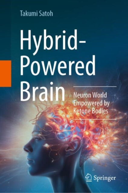 Hybrid-Powered Brain: Neuron World Empowered by Ketone Bodies