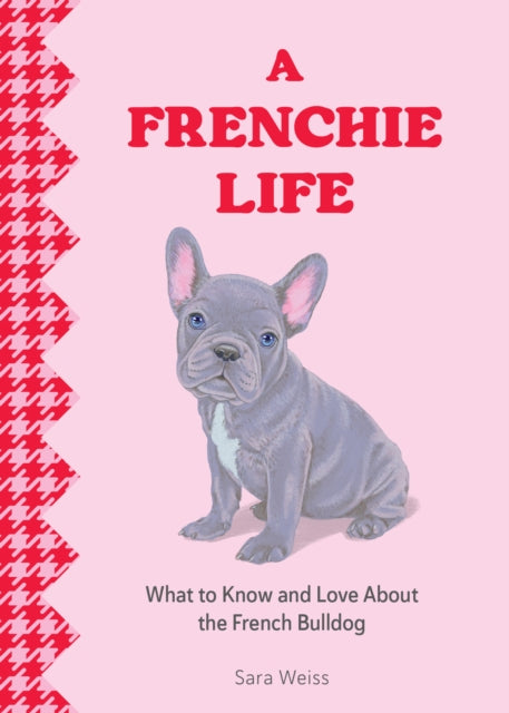 A Frenchie Life: What to Know and Love About the French Bulldog