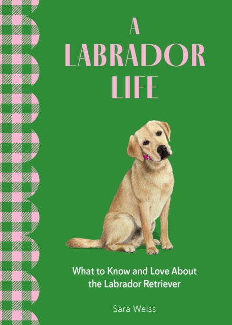 A Labrador Life: What to Know and Love About the Labrador Retriever