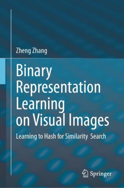 Binary Representation Learning on Visual Images: Learning to Hash for Similarity  Search