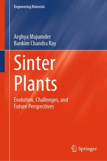 Sinter Plants: Evolution, Challenges, and Future Perspectives