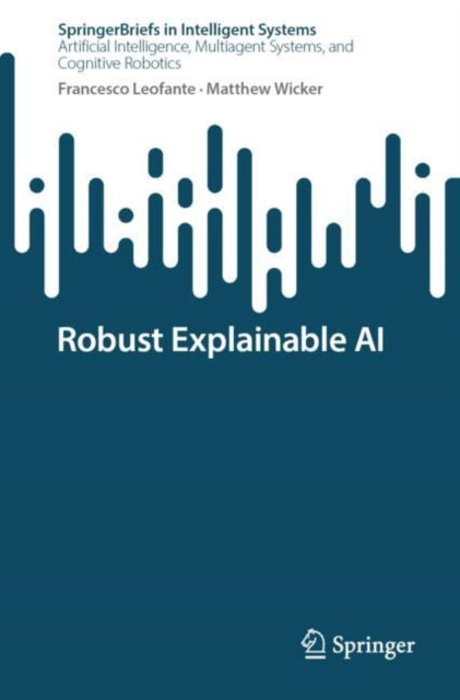Robust Explainable AI