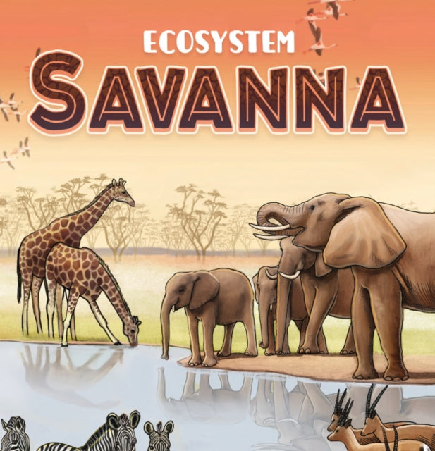 Savanna Card Game