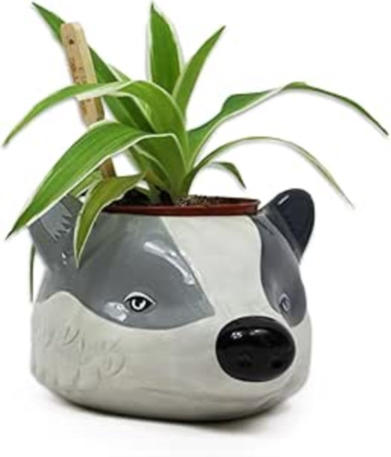 Ceramic Pot Shaped - Harry Potter (Hufflepuff)